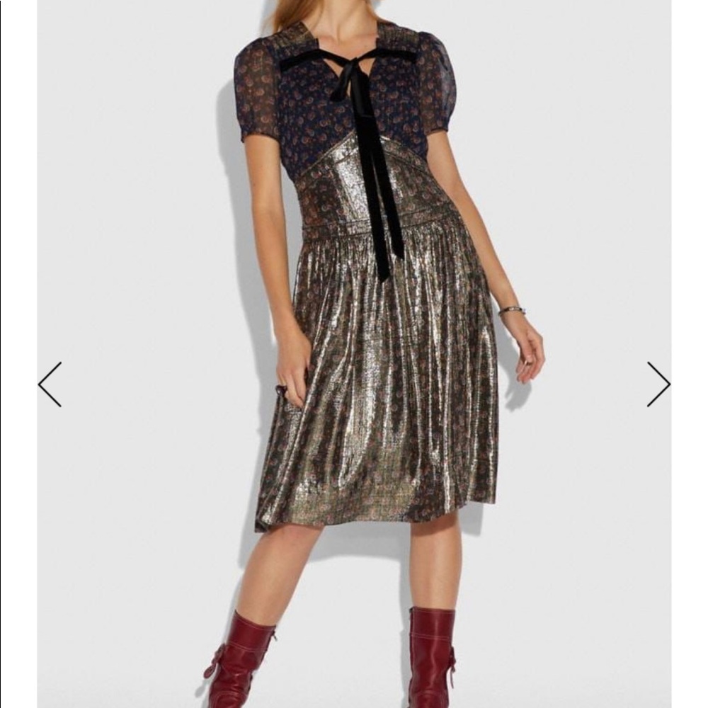 Coach Daisy Print Dress